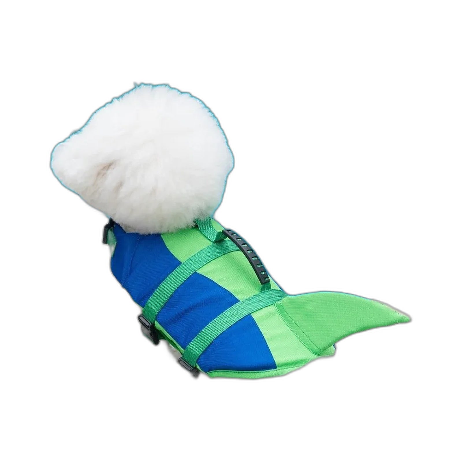 PupFin — Blue lifestyle dog white background