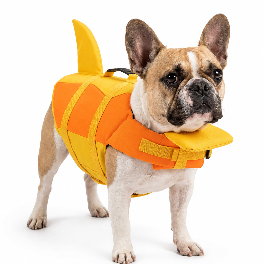 PupFin — lifestyle cute small dog side shot white background