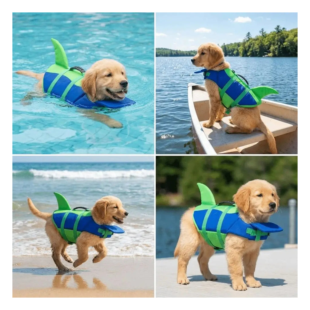 PupFin — Blue on dog outdoors